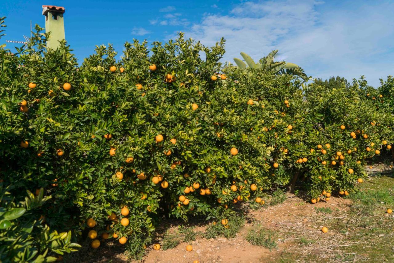 Casa La Naranja Boutique B&B Pedreguer Εξωτερικό φωτογραφία