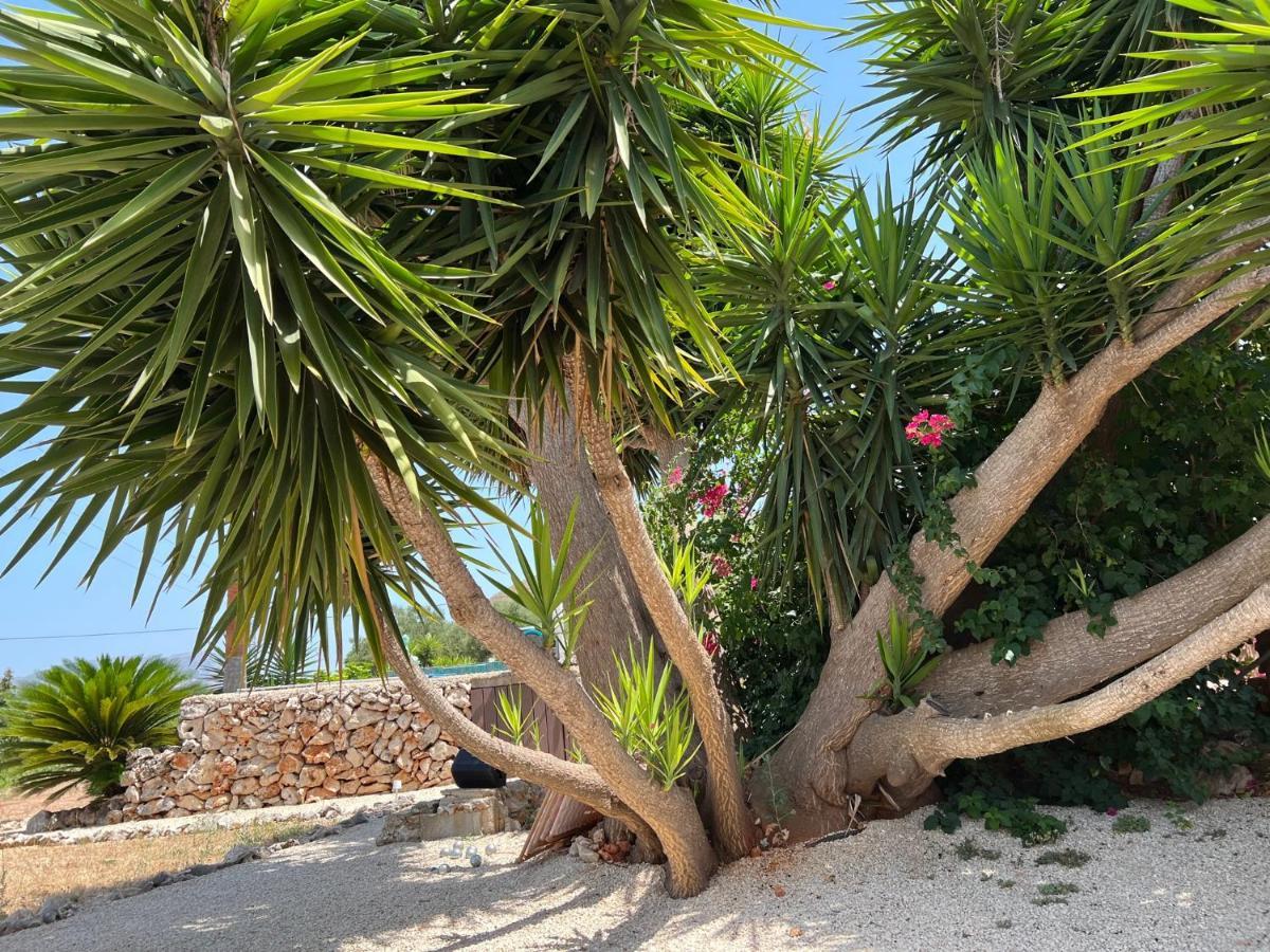 Casa La Naranja Boutique B&B Pedreguer Εξωτερικό φωτογραφία